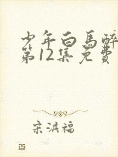 少年白马醉春风第12集免费观看