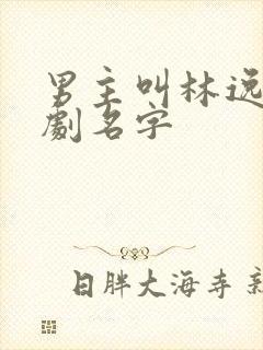 男主叫林逸的短剧名字