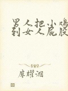 男人把小鸡鸡穿到女人屁股里