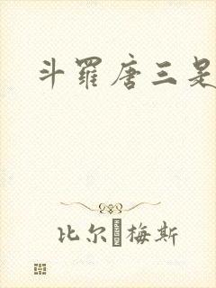 斗罗唐三是我哥封面