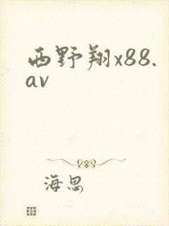 西野翔x88.av
