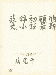 苏锦初顾明琛全文小说最新章节更新