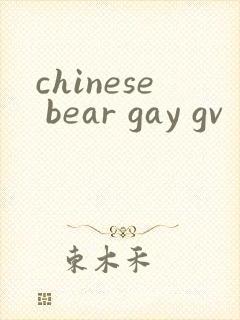 chinese bear gay gv封面