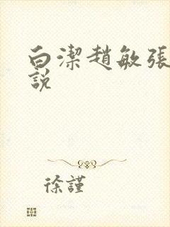 白洁赵敏张倩小说