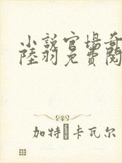 小说官场奇才 陆羽免费阅读