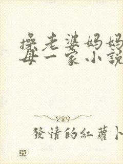 操老婆妈妈和岳母一家小说