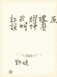 许我耀眼原著小说叫什么