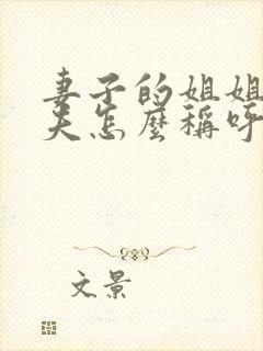 妻子的姐姐的丈夫怎么称呼