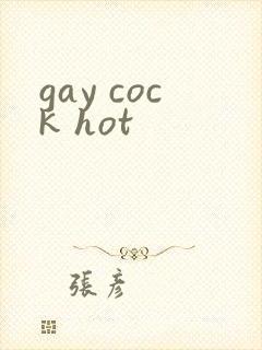 gay cock hot