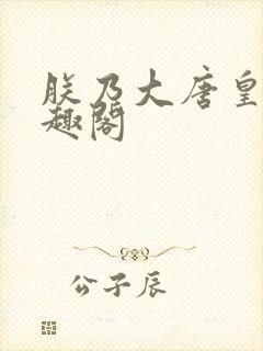 朕乃大唐皇帝笔趣阁