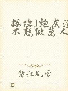 总攻]炮灰渣攻不想做万人迷