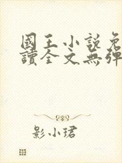 国王小说免费阅读全文无弹窗