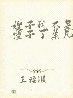 嫂子我不是真的傻子了叶凡免费阅读