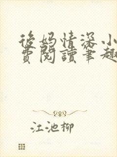 后妈情深小说免费阅读笔趣阁封面