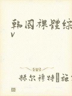 韩国裸体综艺av