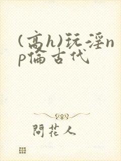 (高h)玩淫np伦古代
