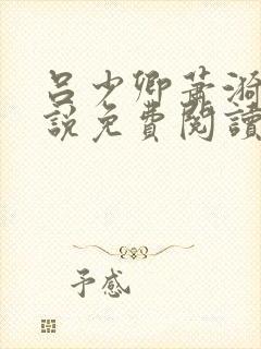 吕少卿萧漪的小说免费阅读全文无弹窗封面