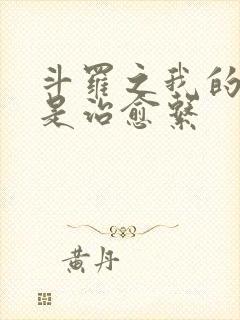 斗罗之我的武魂是治愈系