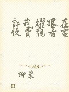 许我耀眼在线免收费观看电视剧全集