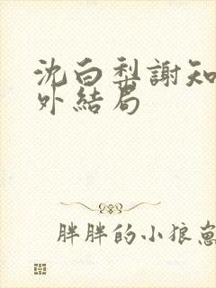 沈白梨谢知聿番外结局