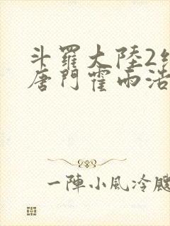 斗罗大陆2绝世唐门霍雨浩小说