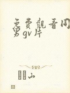 免费观看同性男男gv片