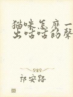 猫咪怎么一直发出咕咕的声音