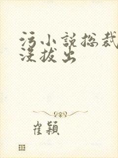 污小说总裁整夜没拔出