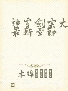 神霄剑宗大师兄最新章节