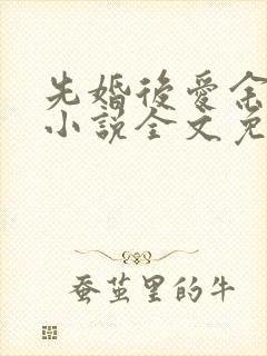 先婚后爱余慧慧小说全文免费阅读封面