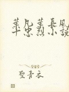 叶凡叶长风一门十忠烈小说封面