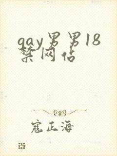 gay男男18禁网站