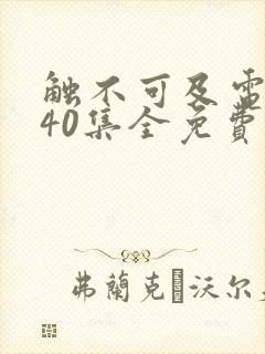 触不可及电视剧40集全免费播放