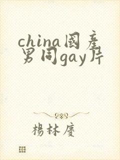 china国产男同gay片封面