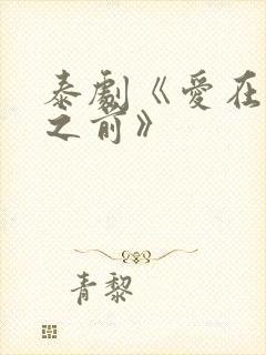 泰剧《爱在日落之前》