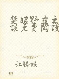 楚昭野崔之棠小说免费阅读最新章节