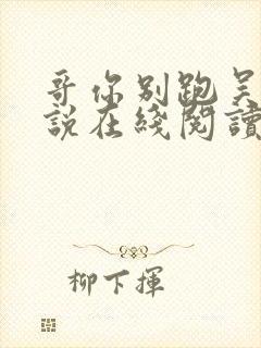 哥你别跑吴比小说在线阅读封面