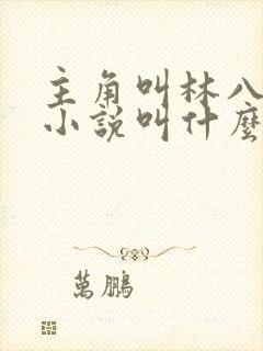 主角叫林八千的小说叫什么名字