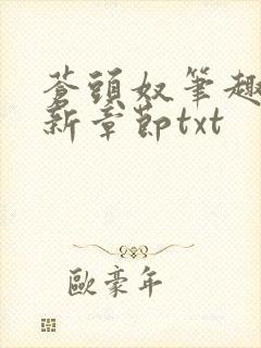 苍头奴笔趣阁最新章节txt封面