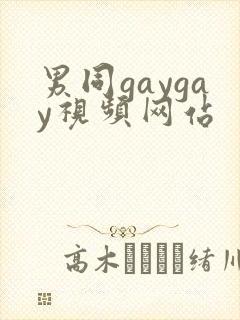 男同gaygay视频网站
