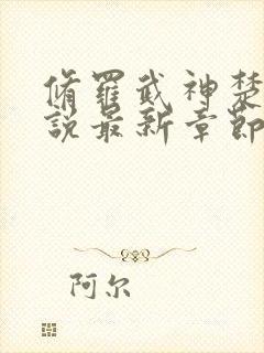 修罗武神楚枫小说最新章节精校版