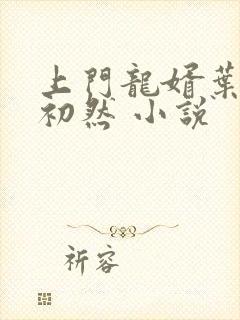 上门龙婿叶辰萧初然 小说