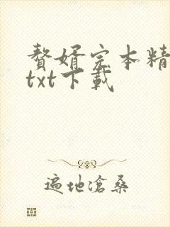 赘婿完本精校版txt下载封面