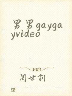 男男gaygayvideo