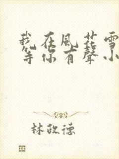我在风花雪月里等你有声小说封面