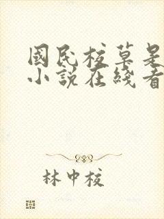 国民校草是女生小说在线看