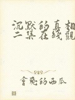 沉默的真相第十二集在线观看