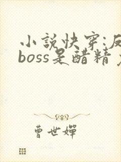 小说快穿:反派boss是醋精免费阅读