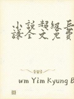 小说超级兵王叶谦全文免费阅读