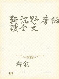 靳沉野唐栖雾阅读全文